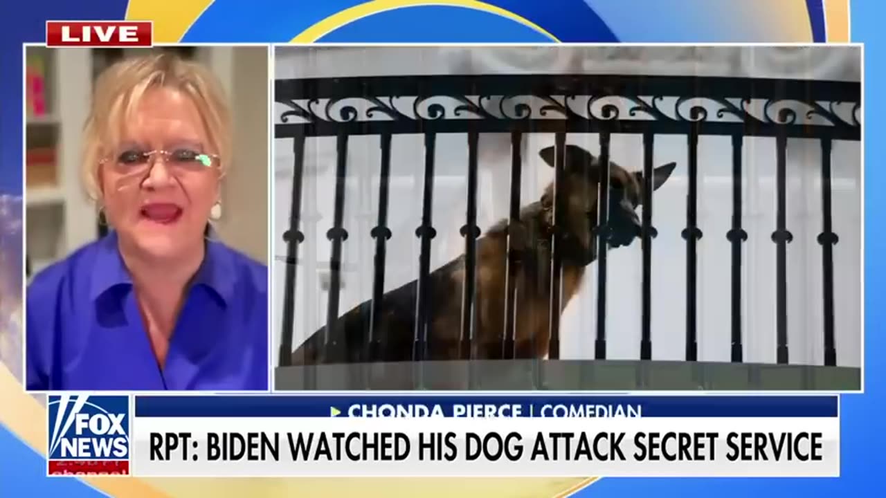 Biden 'repeatedly watched' dog Commander attack Secret Service_ Report Fox News