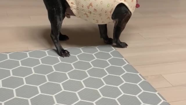 Give me my chicken legs!