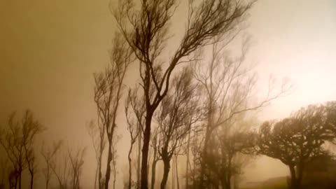 Storm in the hills and forest_