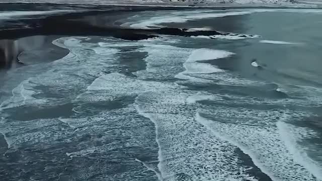 For lovers of the sea