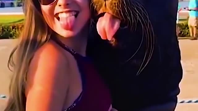 THE FUNNIEST COLLECTION OF VIDEOS .