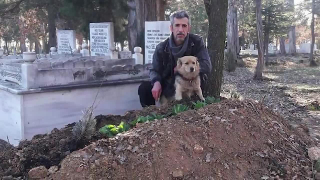 Pets Cry for the Death of Thier Owner