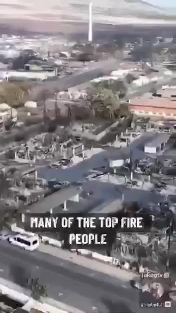 Courtesy of the WEF and our corrupt governments