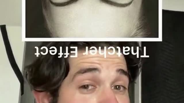 Do you have this illusion at first sight?