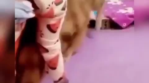 This video will made your day