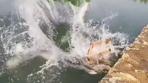 So funny video in china😀😀
