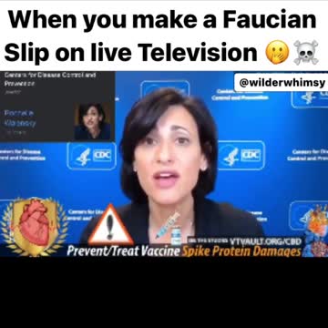fauchisian slip on tv