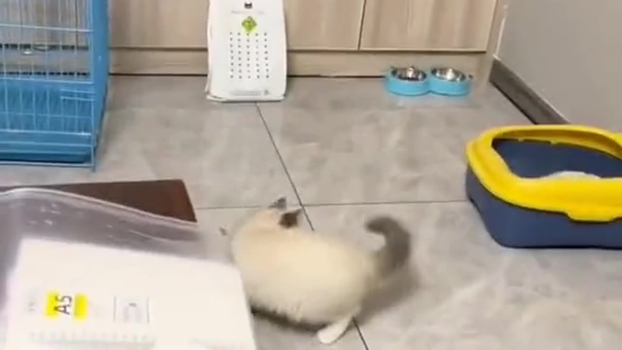 How to use it for a pimple on your own 😁 to make