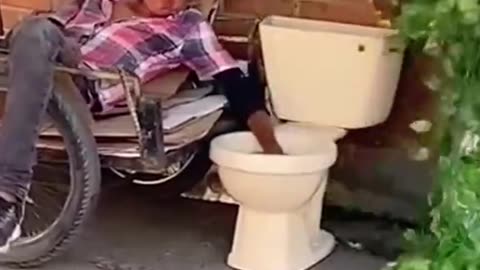 Funny bush in actions