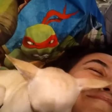 Nobodies getting hurt