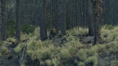 Young people walking through a forest