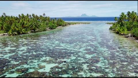 Tahaa Drift Snorkel