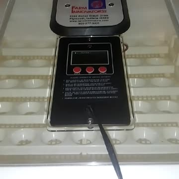 Farm Innovators model 4250 Egg Incubator Review