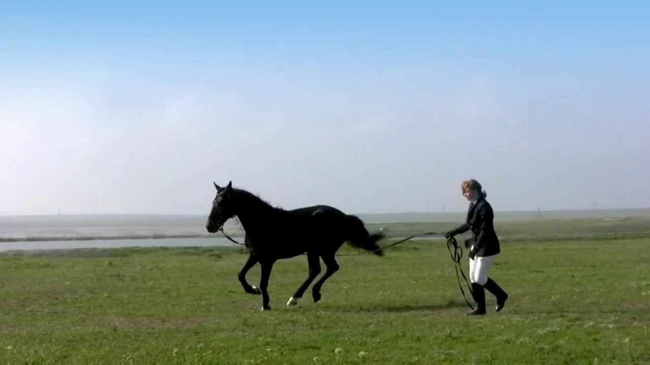 Girl trains the horse