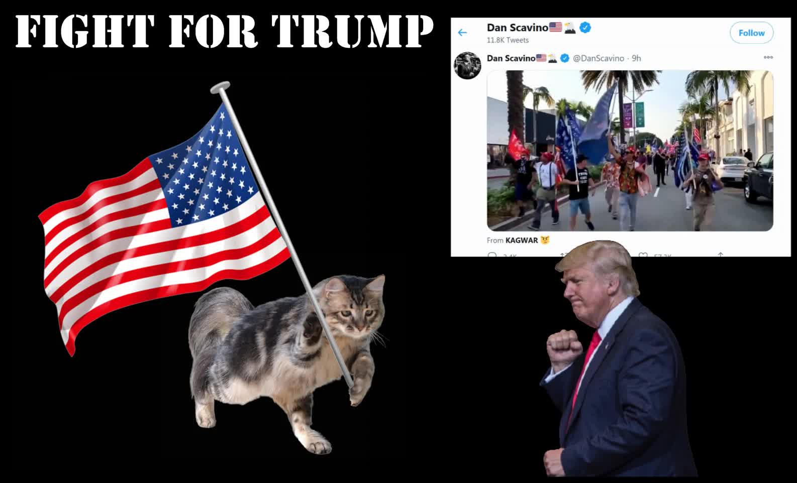 Fight For Trump In DC