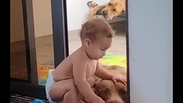 Baby With Big Big Dog