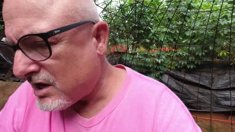 4 WHO WILL MAKE IT, WILL YOU?