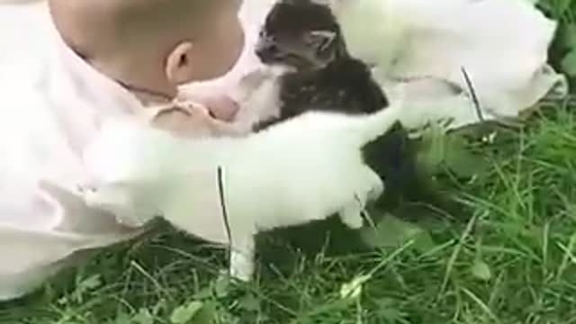 BABIES AND KITTENS BABIES IS THE CUTEST THING YOU WILL SEE TODAY