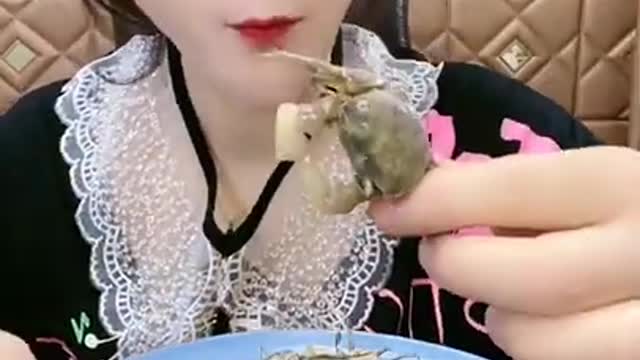 Chinese ASMR Mukbang Eating Show (OCTOPUS, LOBSTER TAIL, KING CRAB... ) #_17