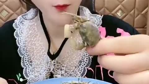 Chinese ASMR Mukbang Eating Show (OCTOPUS, LOBSTER TAIL, KING CRAB... ) #_17