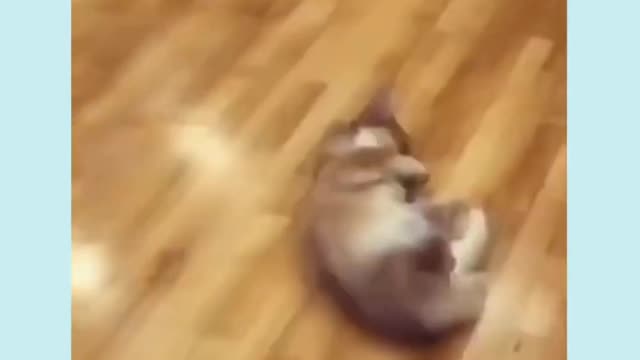 Cutee Puppy #shorts