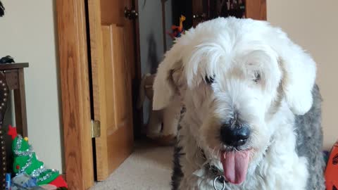 OES Licking his lips.. over.. and over....