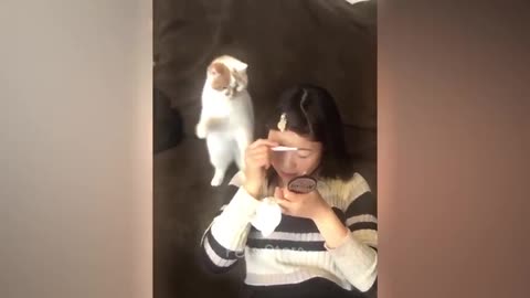 Funny animal video