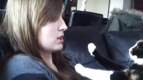 Cat Refuses Kissing - Funny Cats Hate Kissing Compilation