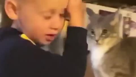 This cat 🐈 woke up and really choose violence 🤣 | Funny Epic video