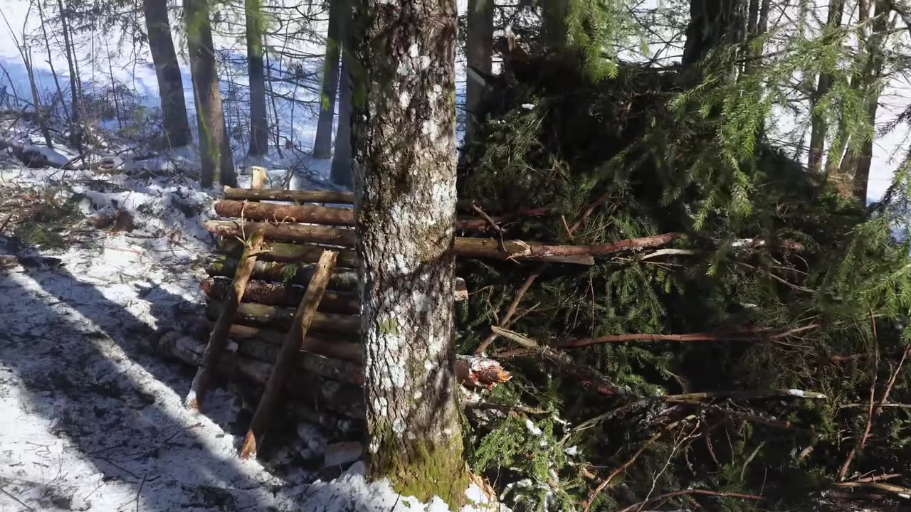 I'm Surviving 3 Days Building a Shelter! Winter Camping