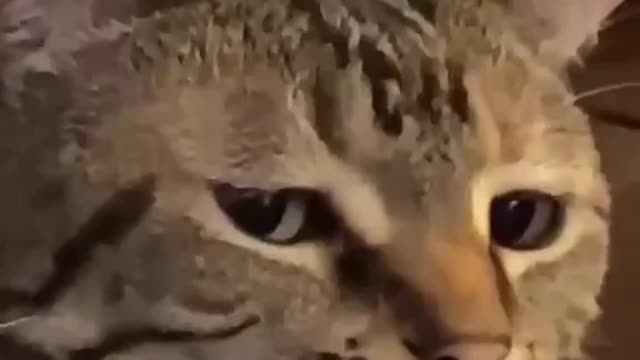 this look