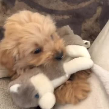 Jumping ain’t no issue anymore