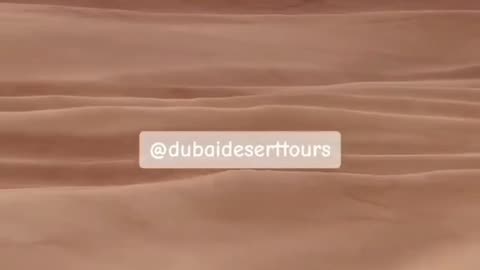 Dubai Life 💫 Habibi Come to Dubai