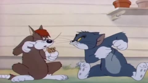 Tom and jerry Funny