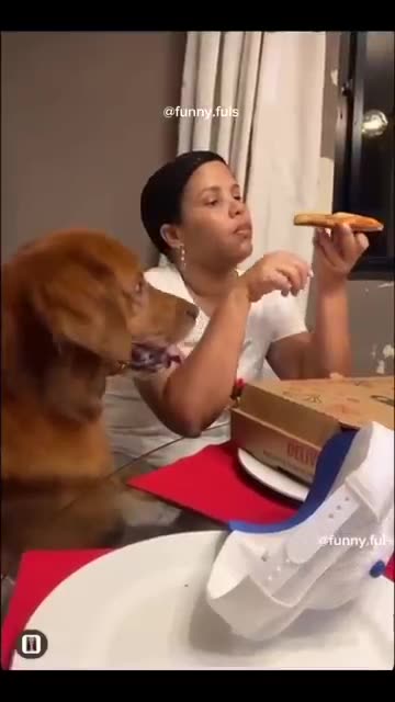 funny video funny memes comedy video funny fails funny video 2024