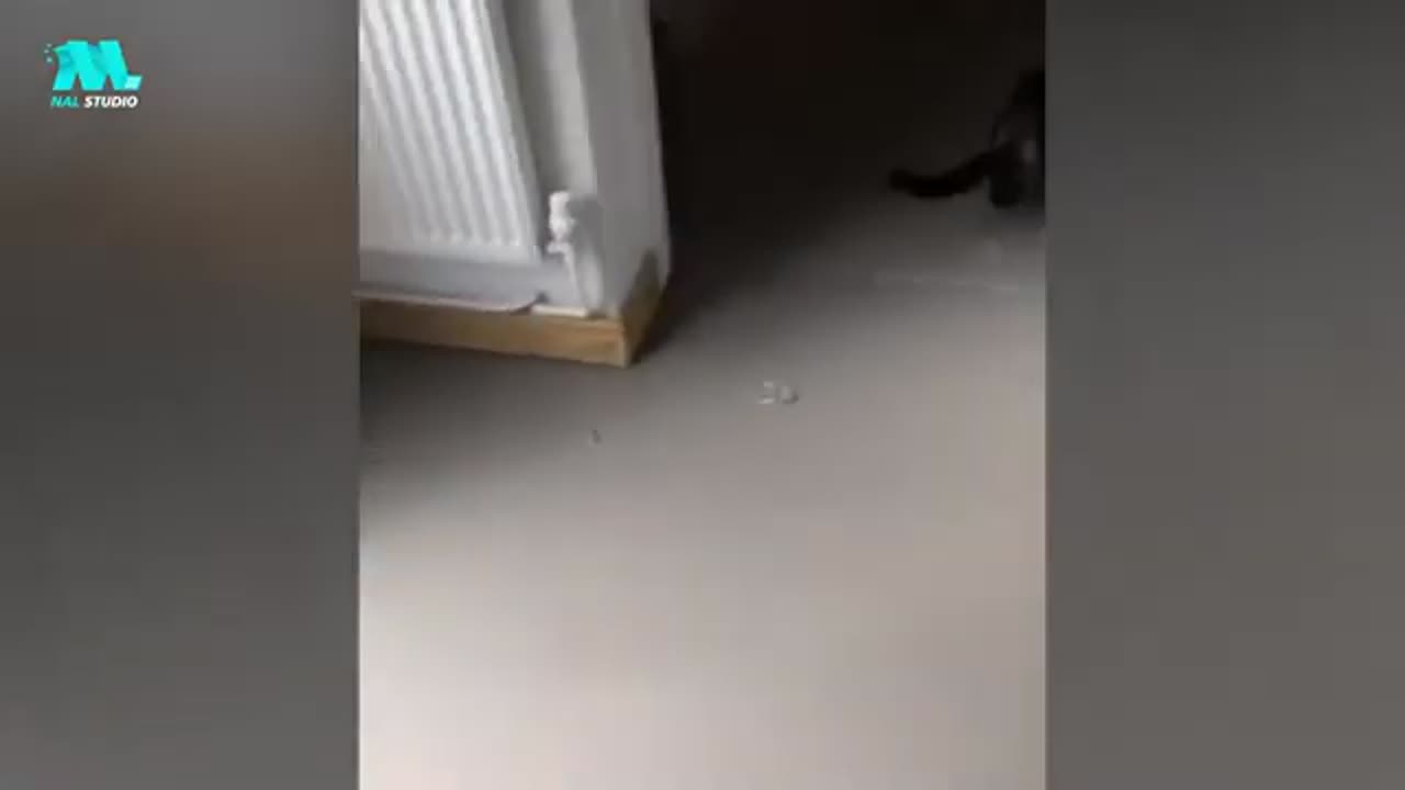totale idiots at work fail of the week