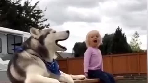 Dog singing a duet 🙂