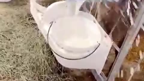 #funny