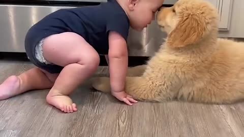 Baby Plays with Puppy!