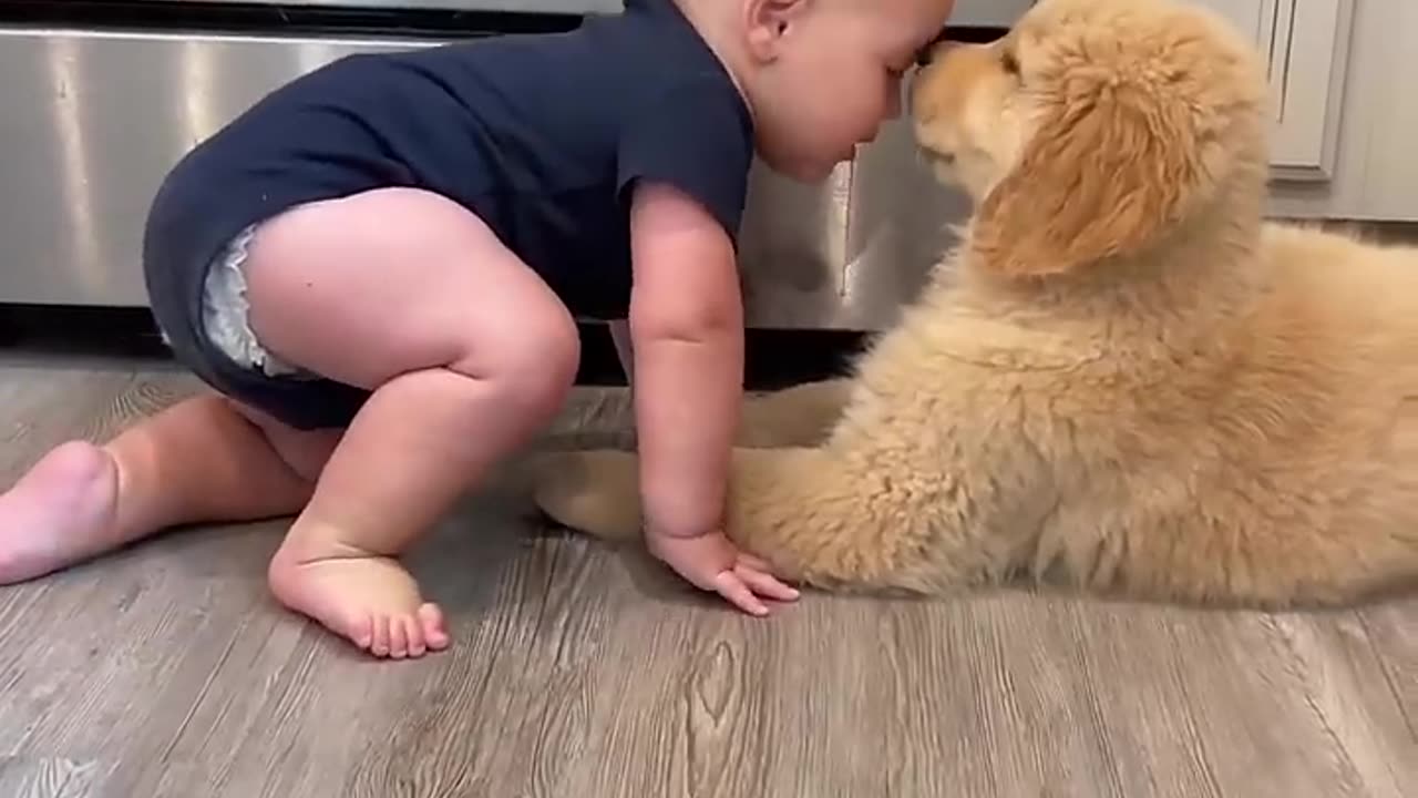 Baby Plays with Puppy!