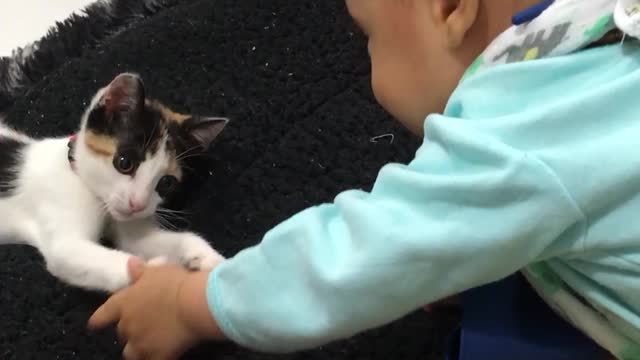 Cute baby and cat playing.