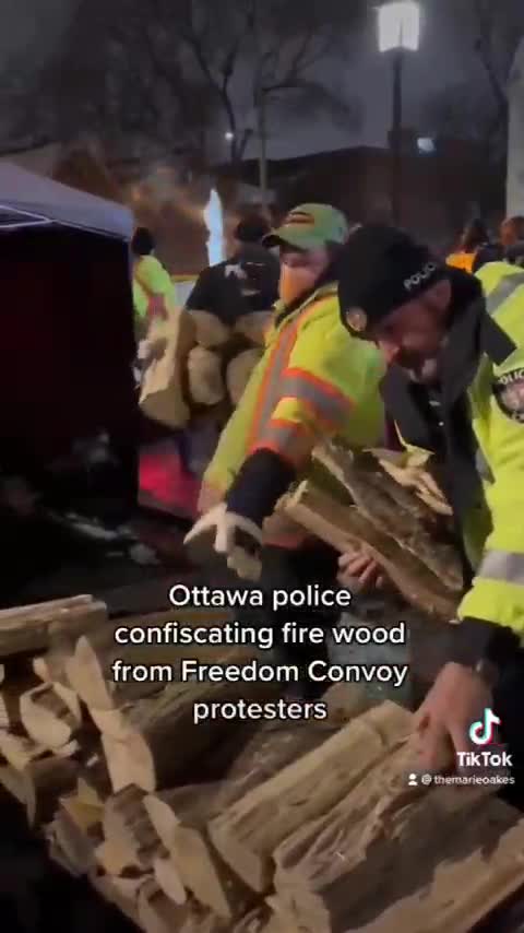Ottawa police confiscating fire wood from Freedom Convoy protesters