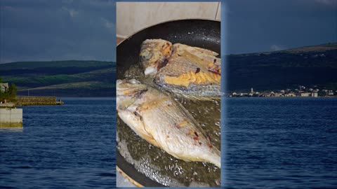 From the Sea to the Pan: The Joy of Cooking with Fresh SEA Fish