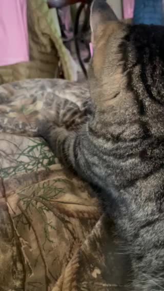 Knead that dough honey