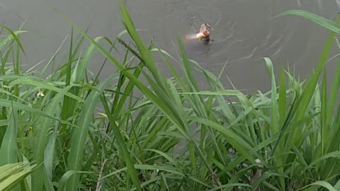 fishing it rains