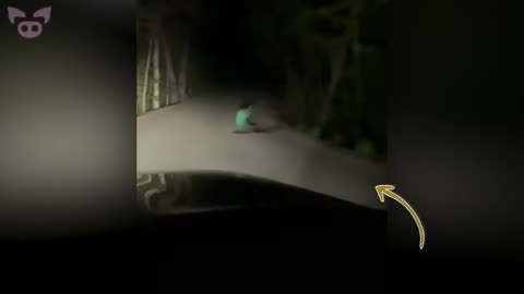 Terrifying Road Trip Encounters Caught on Camera