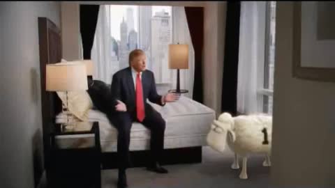 The Trump Home Collection