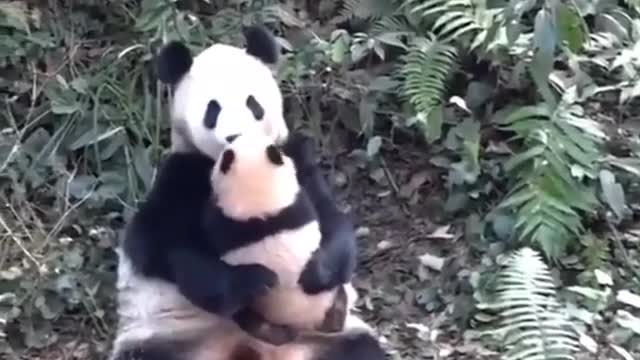 Just love