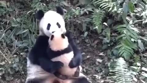 Just love