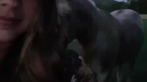 Gassy Horse Greets Owner Before Bed